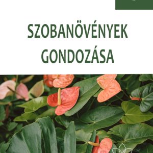 Szobanövények gondozása kertészfüzet – 17. rész