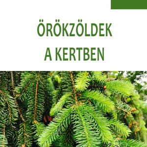 OROKZOLDEK-A-KERTBEN kertészfüzet