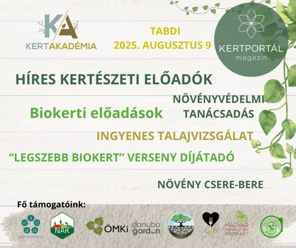 KertAkadémia 2026. augusztus 8. - Tabdi - Image 4