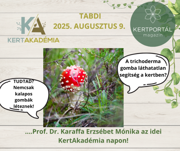 KertAkadémia 2026. augusztus 8. - Tabdi - Image 21