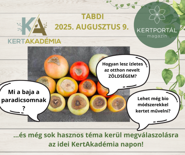 KertAkadémia 2026. augusztus 8. - Tabdi - Image 5