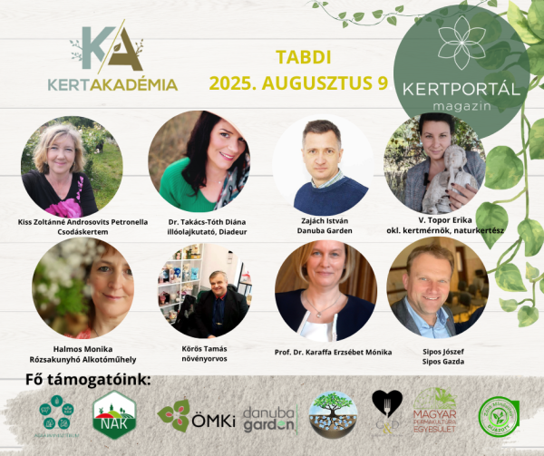 KertAkadémia 2026. augusztus 8. - Tabdi - Image 6