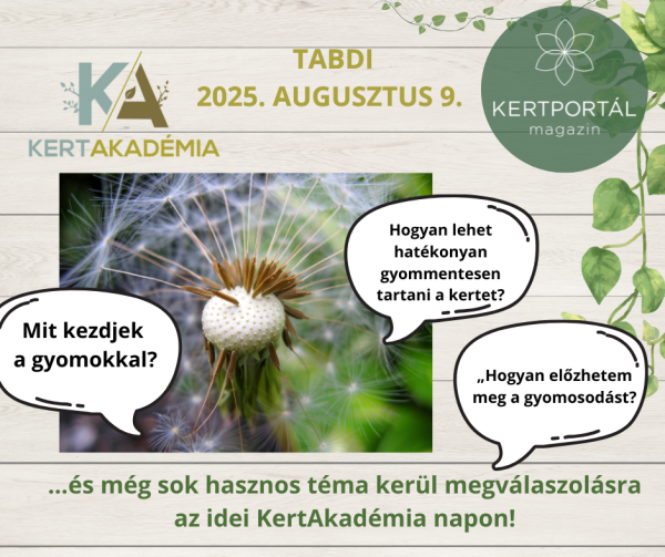 KertAkadémia 2026. augusztus 8. - Tabdi - Image 7