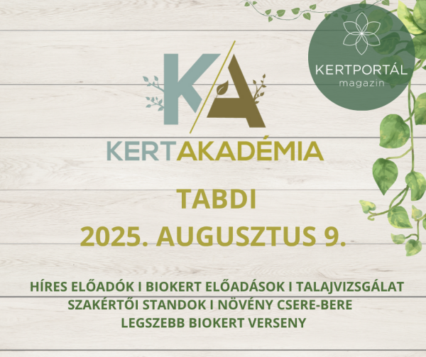 KertAkadémia 2026. augusztus 8. - Tabdi - Image 8