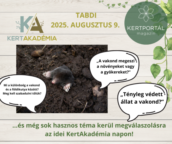 KertAkadémia 2026. augusztus 8. - Tabdi - Image 9