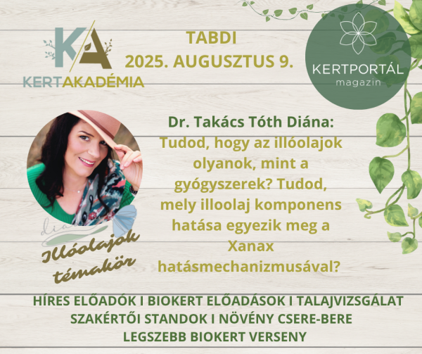 KertAkadémia 2026. augusztus 8. - Tabdi - Image 10