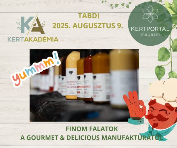 KertAkadémia 2026. augusztus 8. - Tabdi - Image 11