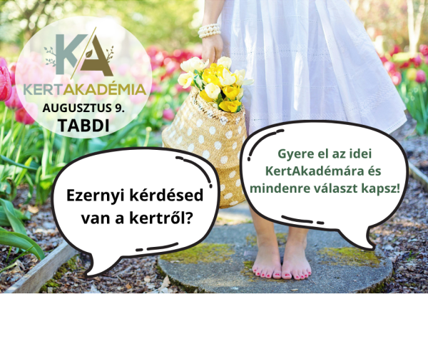 KertAkadémia 2026. augusztus 8. - Tabdi - Image 12