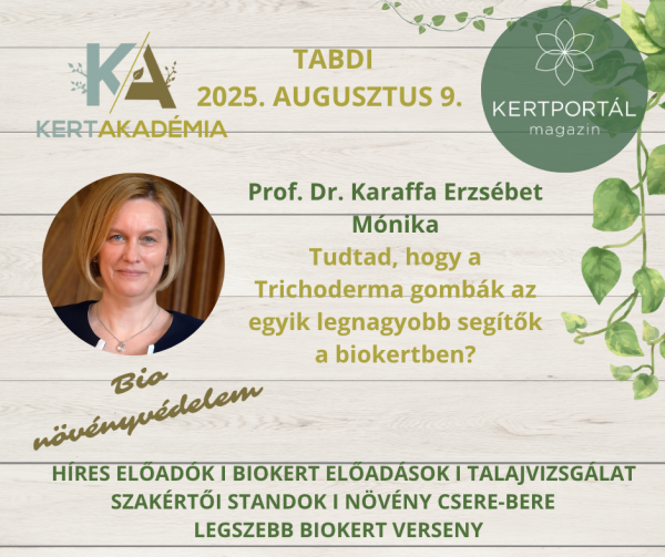 KertAkadémia 2026. augusztus 8. - Tabdi - Image 13