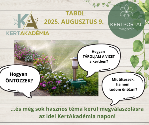 KertAkadémia 2026. augusztus 8. - Tabdi - Image 14