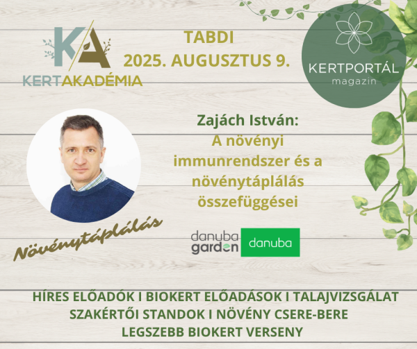 KertAkadémia 2026. augusztus 8. - Tabdi - Image 17
