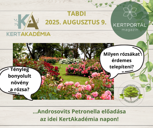 KertAkadémia 2026. augusztus 8. - Tabdi - Image 18