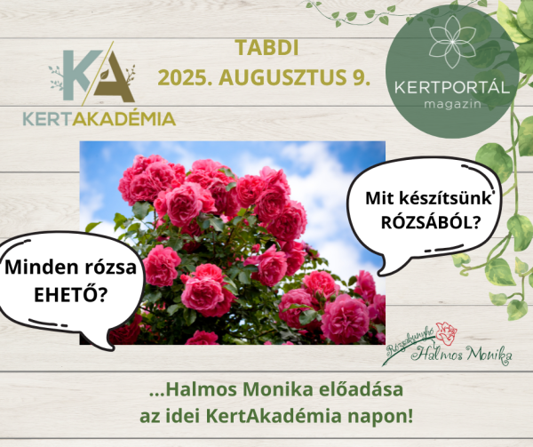 KertAkadémia 2026. augusztus 8. - Tabdi - Image 20