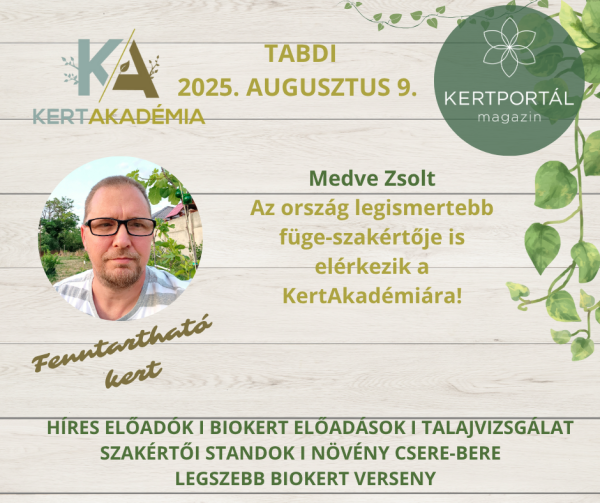 KertAkadémia 2026. augusztus 8. - Tabdi - Image 3